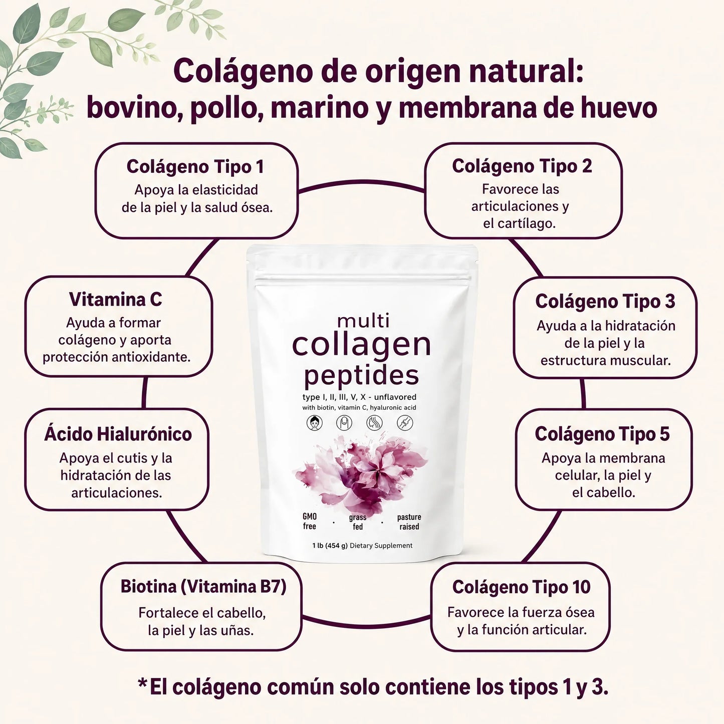 Multi Collagen Peptides Powder